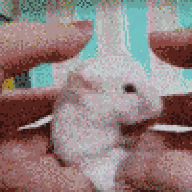 Mr_Orgasmo