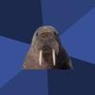 stupid pile of-walrus