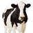Vaca