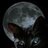 MoonCat